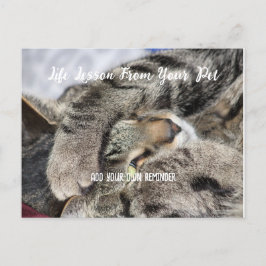 Personalzied Pet Life Lesson Helg Vykort