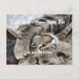 Personalzied Pet Life Lesson Helg Vykort