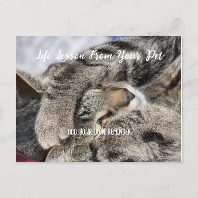 Personalzied Pet Life Lesson Helg Vykort (Framsida)