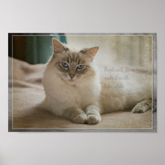 Personer kommer att stirra poster (Framsidan)