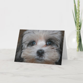 Personified sötma kort