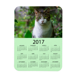 Personifiera denna grön mini- kalender för fotoe magnet