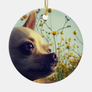 Personifierad chihuahuadubbla sid julgransprydnad keramik