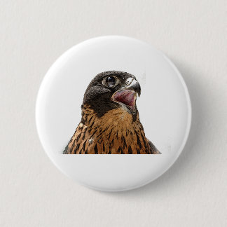 Personifierad Peregrine falk Knapp