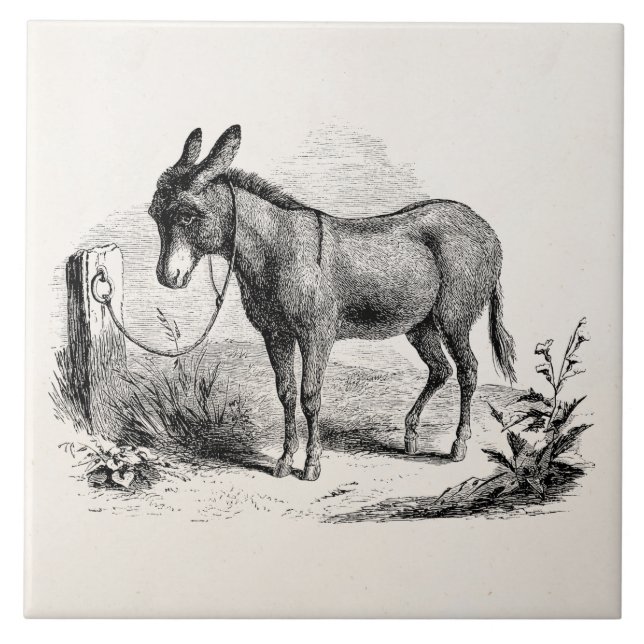Personifierade Retro åsnor för vintage inhemsk Kakelplatta (Framsidan)