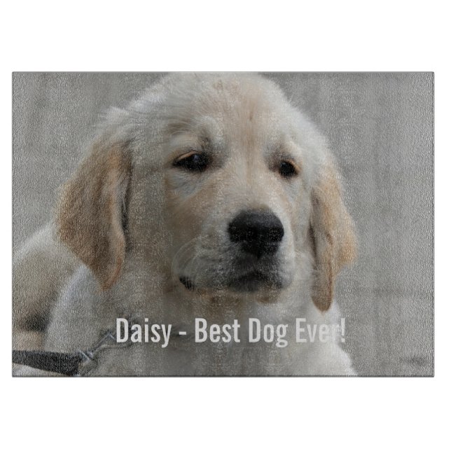 Personifierat guld- Retrieverhundfoto och namn (Framsidan)