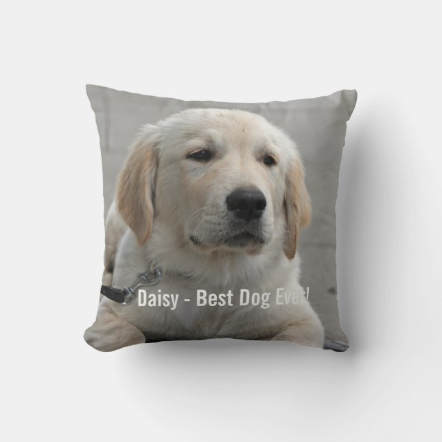 Personifierat guld- Retrieverhundfoto och namn Kudde (Framsida)