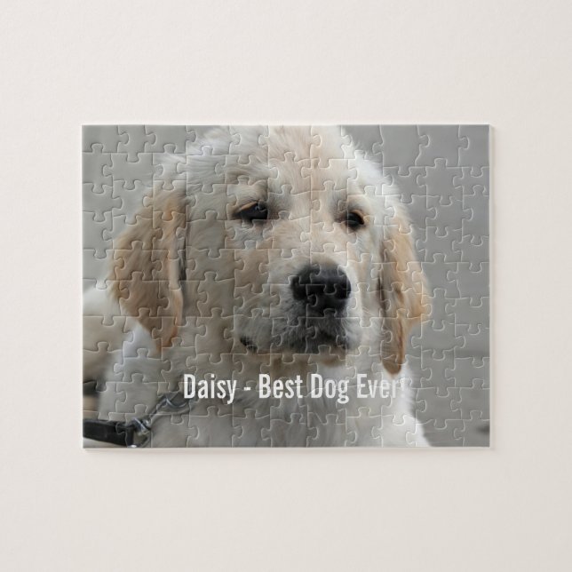 Personifierat guld- Retrieverhundfoto och namn Pussel (Horisontell)