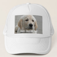 Personifierat guld- Retrieverhundfoto och namn
