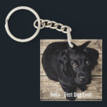 Personifierat svart lab hundfoto- och hundnamn<br><div class="desc">Personifiera denna minnessak med ditt hund eller valp foto och namnge (eller annat det husdjur- eller personens fotoet/namn). Text läser "den bäst hunden någonsin" eller tillfogar din egna text - vi älskar Bella (hund namn), hund födelsedag eller dag av bortgång. Klicka precis på "skräddarsy" för att tillfoga din personligtext, för...</div>