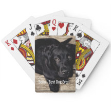 Personifierat svart lab hundfoto- och hundnamn