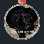 Personifierat svart lab hundfoto- och hundnamn julgransprydnad metall<br><div class="desc">Personifiera denna minnessak med din hund foto- och hund namn (eller annan det husdjur- eller personens fotoet/namn). Tillfoga din egna text liksom "den bäst hunden någonsin, " "oss älskar Bella" (hund namn), hund födelsedag eller dag av bortgång. Klicka precis på "skräddarsy" för att tillfoga din personligtext, för att ändra stilsorten...</div>