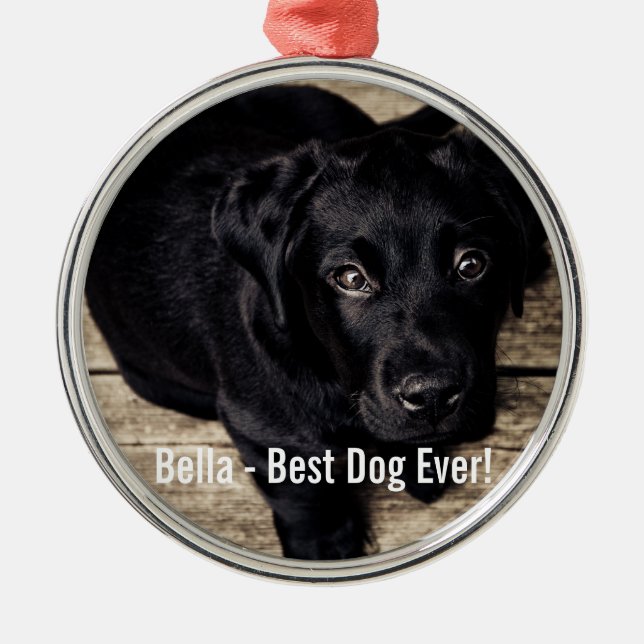 Personifierat svart lab hundfoto- och hundnamn julgransprydnad metall (Framsidan)
