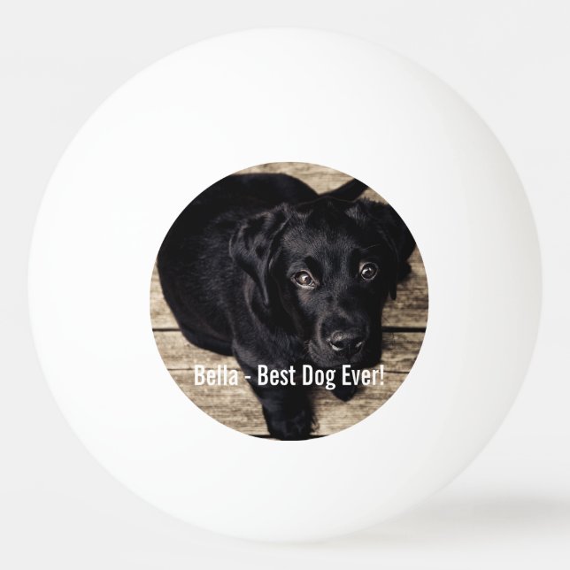 Personifierat svart lab hundfoto- och hundnamn pingisboll (Framsidan)