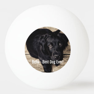 Personifierat svart lab hundfoto- och hundnamn pingisboll