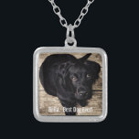 Personifierat svart lab hundfoto- och hundnamn silverpläterat halsband<br><div class="desc">Personifiera denna minnessak med ditt hund eller valp foto och namnge (eller annat det husdjur- eller personens fotoet/namn). Text läser "den bäst hunden någonsin" eller tillfogar din egna text - vi älskar Bella (hund namn), hund födelsedag eller dag av bortgång. Klicka precis på "skräddarsy" för att tillfoga din personligtext, för...</div>