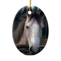 Personlig 4PetRescue