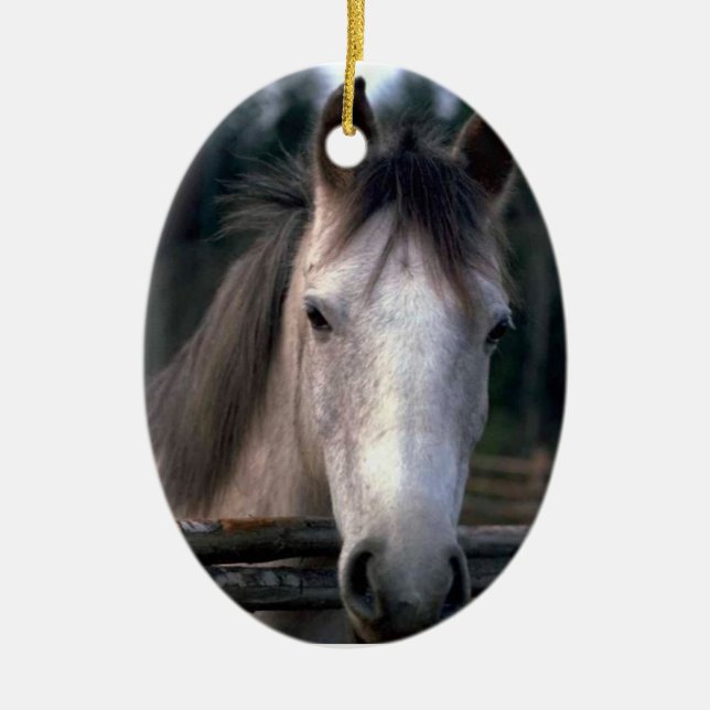 Personlig 4PetRescue Julgransprydnad Keramik (Framsidan)