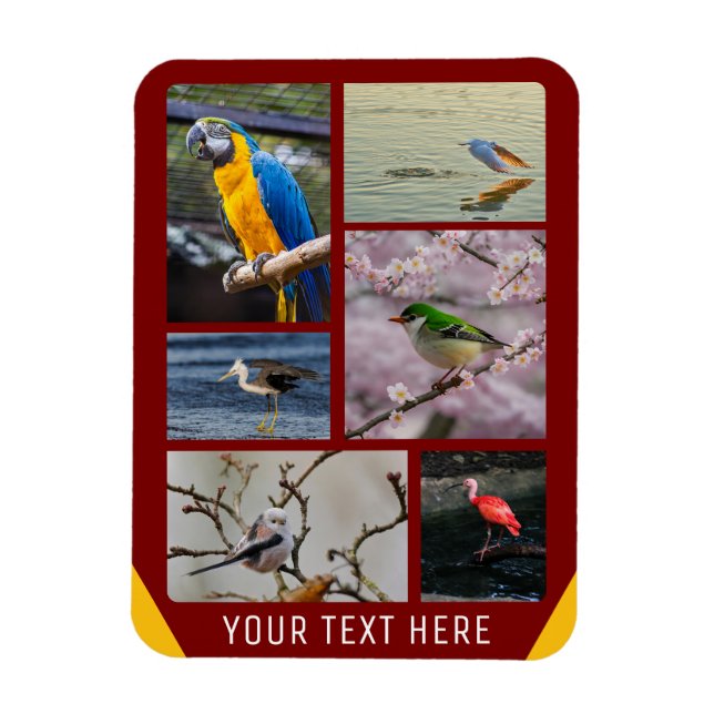 Personlig 5 Bilder Flexibel fotomagnet Magnet (Vertikal)