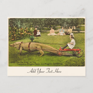 Personlig Alligator-vykort Vykort