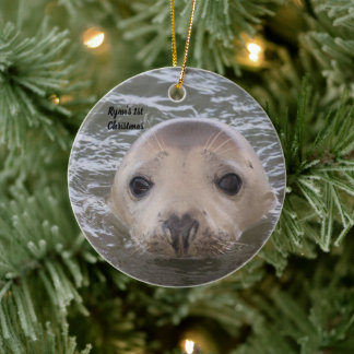 Personlig älskvärd grå säl foto prydnad julgransprydnad keramik