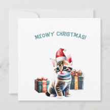 Personlig American Bobtail Kitten