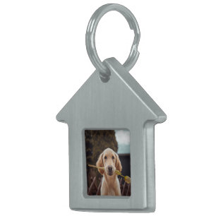 Personlig anpassad foto  ID-bricka husdjur