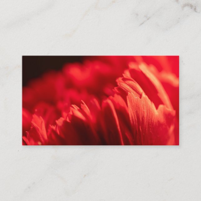 Personlig Anpassningsbar ditt eget foto- och textf Visitkort (Framsida)