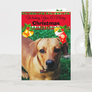 Personlig Anpassningsbar Hund Fotojulkort Kort