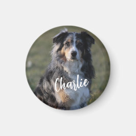 Personlig Anpassningsbar Pet Hund Photo Magnet