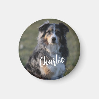 Personlig Anpassningsbar Pet Hund Photo Magnet