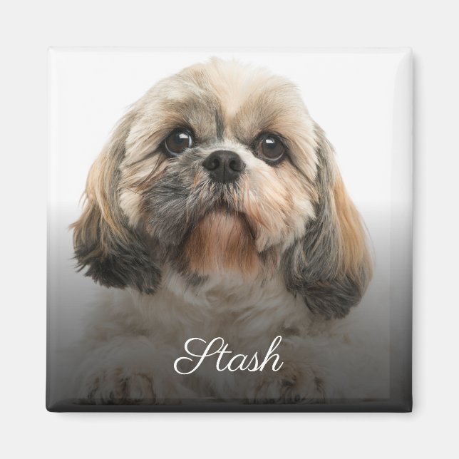Personlig Anpassningsbar Pet Photo Magnet (Framsidan)
