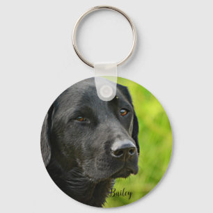 Personlig Anpassningsbar Pet Photo och Namn Nyckelring