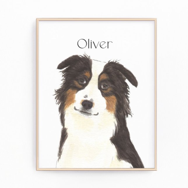 Personlig Aussie Australian shepherd Fototryck (Skapare uppladdad)