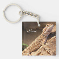 Personlig Baby: Beared Dragon Lizard