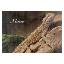 Personlig Baby: Beared Dragon Lizard
