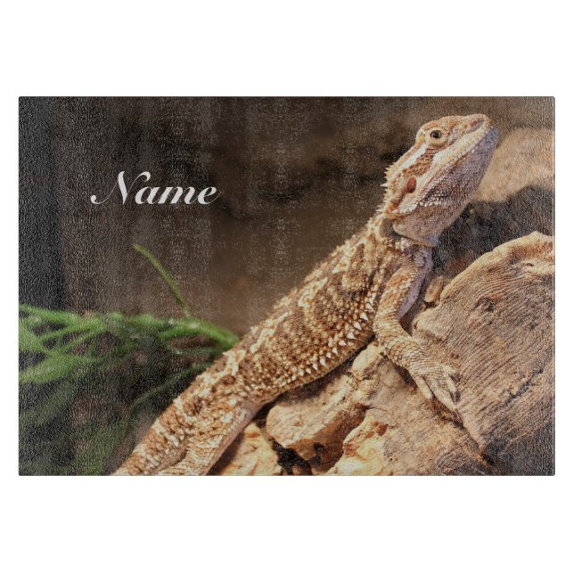 Personlig Baby: Beared Dragon Lizard (Framsidan)