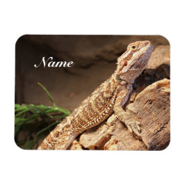 Personlig Baby: Beared Dragon Lizard Magnet