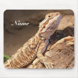 Personlig Baby: Beared Dragon Lizard Musmatta