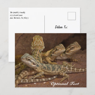Personlig Baby: Beared Dragon Lizard Vykort