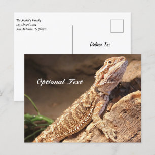 Personlig Baby: Beared Dragon Lizard Vykort