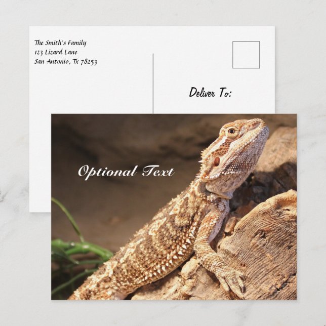 Personlig Baby: Beared Dragon Lizard Vykort (Fram/baksida)