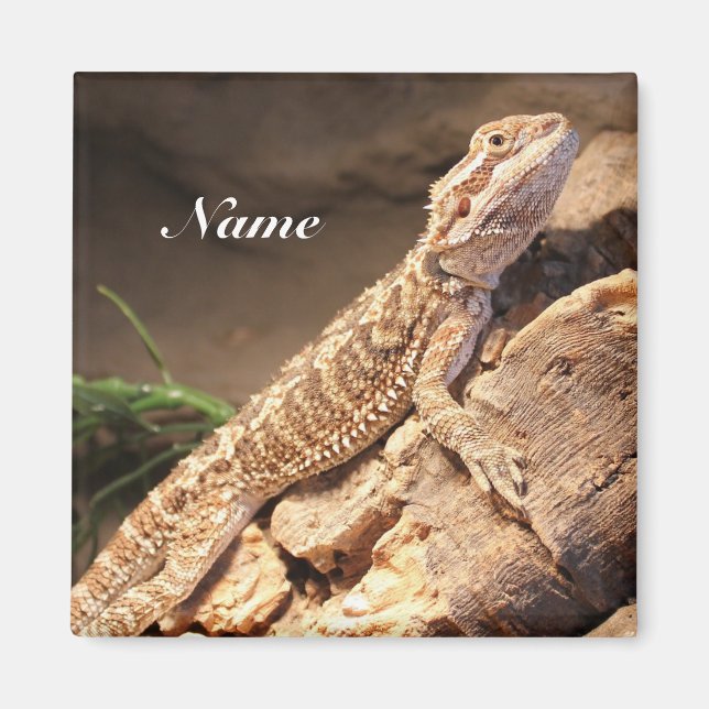 Personlig Baby Dragon Ligua Magnet (Framsidan)