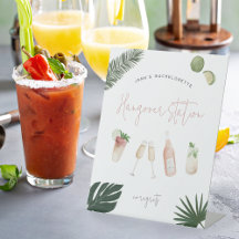 Personlig Bachelorette Party Hangover Station