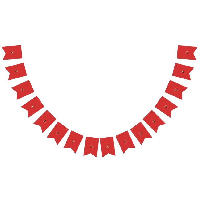 Personlig Banners på födelsedagen och Bröllop Vimplar (Alla)