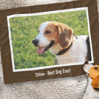 Personlig Beagle Hund Photo och Hund Namn