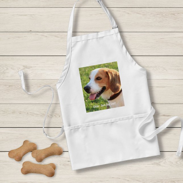 Personlig Beagle Hund Photo och Hund Namn Förkläde (Skapare uppladdad)