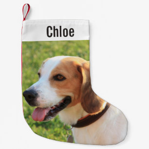Personlig Beagle Hund Photo och Hund Namn Liten Julstrumpa