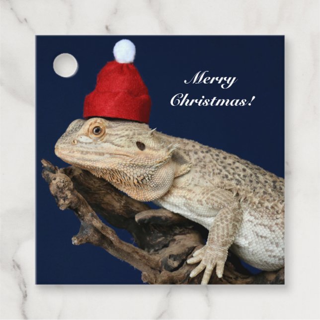 Personlig Bearded Dragon Lizard - Santa Hat Gåvor Etiketter (Framsida)