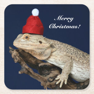 Personlig Bearded Dragon Lizard - Santa Hat Underlägg Papper Kvadrat
